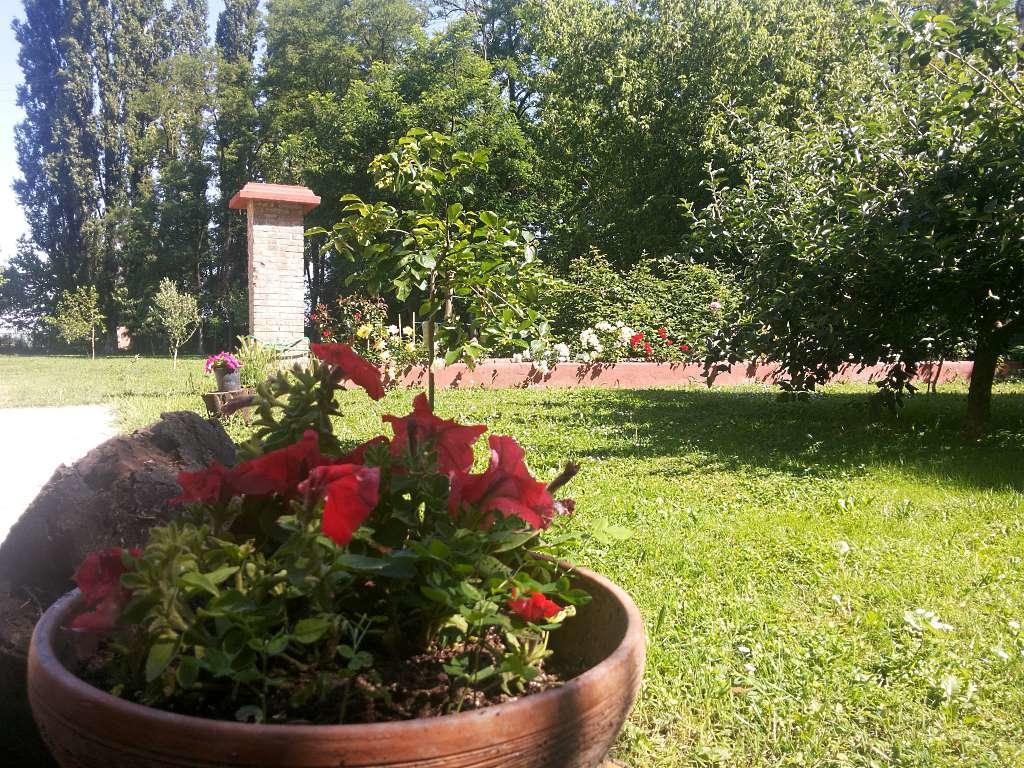 Alloggio Agrituristico Dodici-Apostoli Casumaro Eksteriør billede